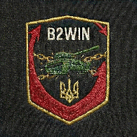 B2WIN emblem