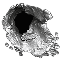 F-TVR emblem