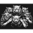 BORZ_ emblem