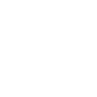 DBEFV emblem