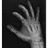 DUMD emblem