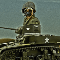 DUTZI emblem