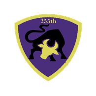 255TH emblem