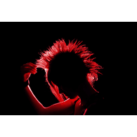 PUNK4 emblem