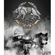 GAFU emblem