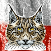 1PL1 emblem