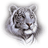 KODA emblem