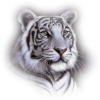 KODA emblem