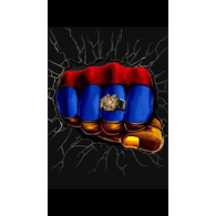 -ARM emblem