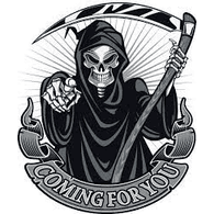 ST_FR emblem