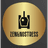 ZNS emblem