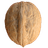 CEVIZ emblem