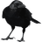 CROVV emblem
