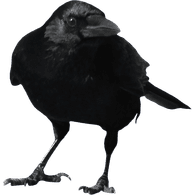CROVV emblem