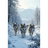 CO_VU emblem