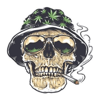 Z_Z emblem