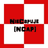 NCAP emblem