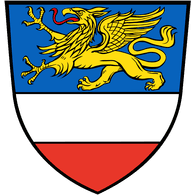 P300 emblem