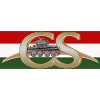 H3CS emblem