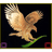 _-GF_ emblem