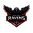 D-N-R emblem