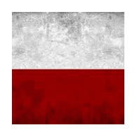 17PDP emblem