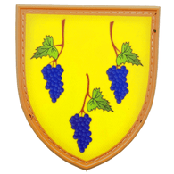 IZYM emblem