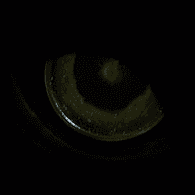 MNLTH emblem