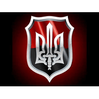 TRYZ emblem