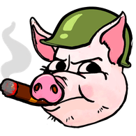 SALO emblem