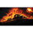TELN emblem
