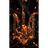 IN_SP emblem