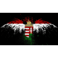 ZSAMO emblem