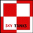SKY-T emblem