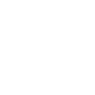 -4308 emblem