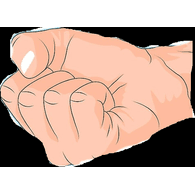 _FAP emblem