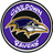 CD_R emblem