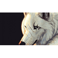 WILDM emblem