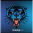 PA_RS emblem