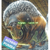 PUMB4 emblem