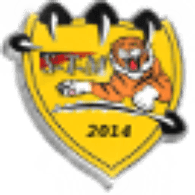 S-T-M emblem