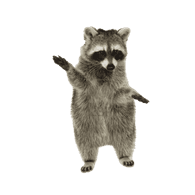 RAKUN emblem
