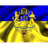 AAIMS emblem