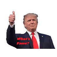 -FAME emblem
