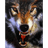 DV_ emblem