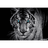 D-L-Y emblem