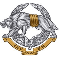 BESUA emblem