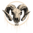 OLLI emblem