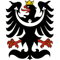 T_E_A emblem