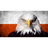 PPSZS emblem